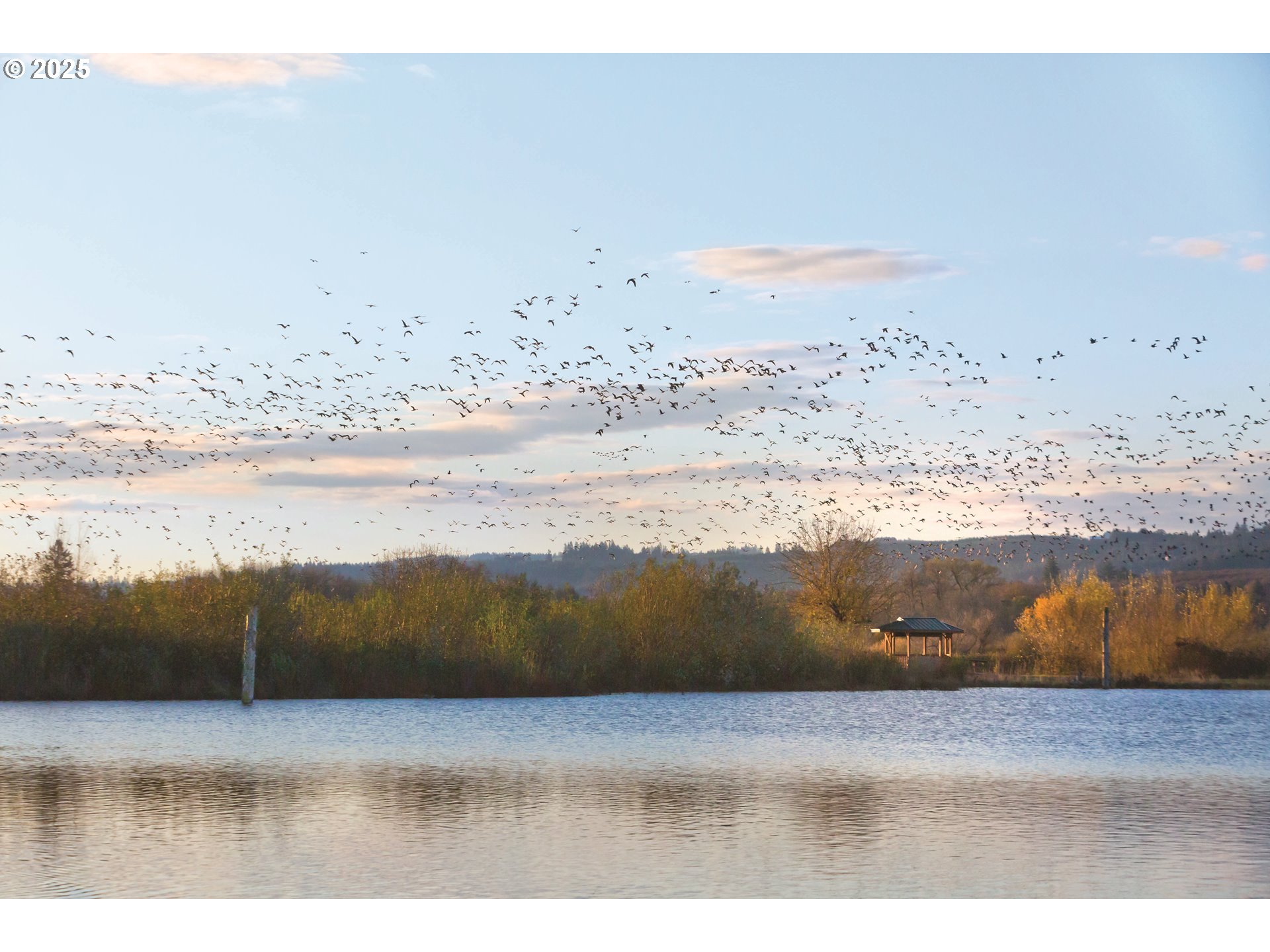 3260 Misty Lane Forest Grove, OR 97116 - Photo 22 of 25