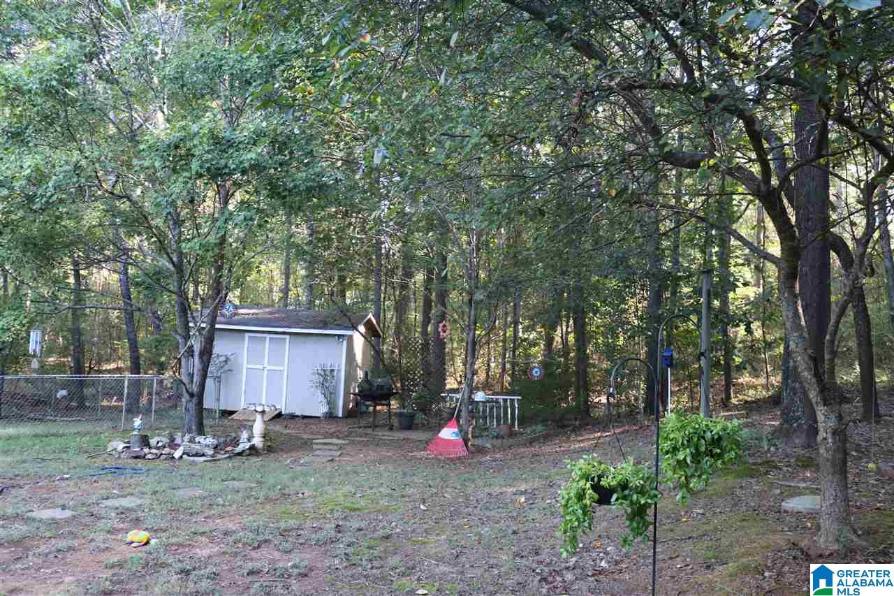 315 Anna Mattison Road Oxford, AL 36203 - Photo 33 of 41