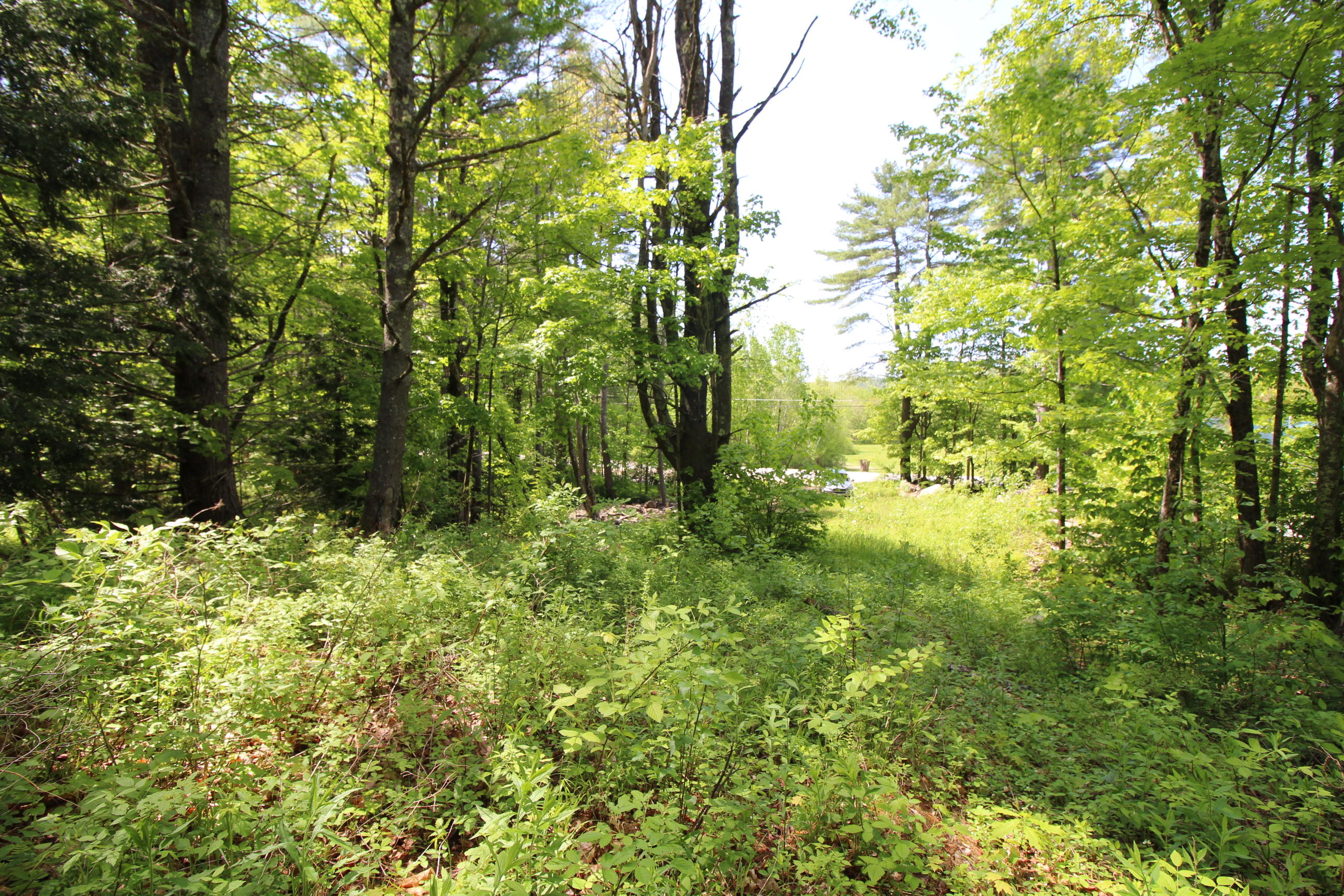 0 Edwards/mountain Road Casco, ME 04015 - Photo 3 of 18 IMG_0364