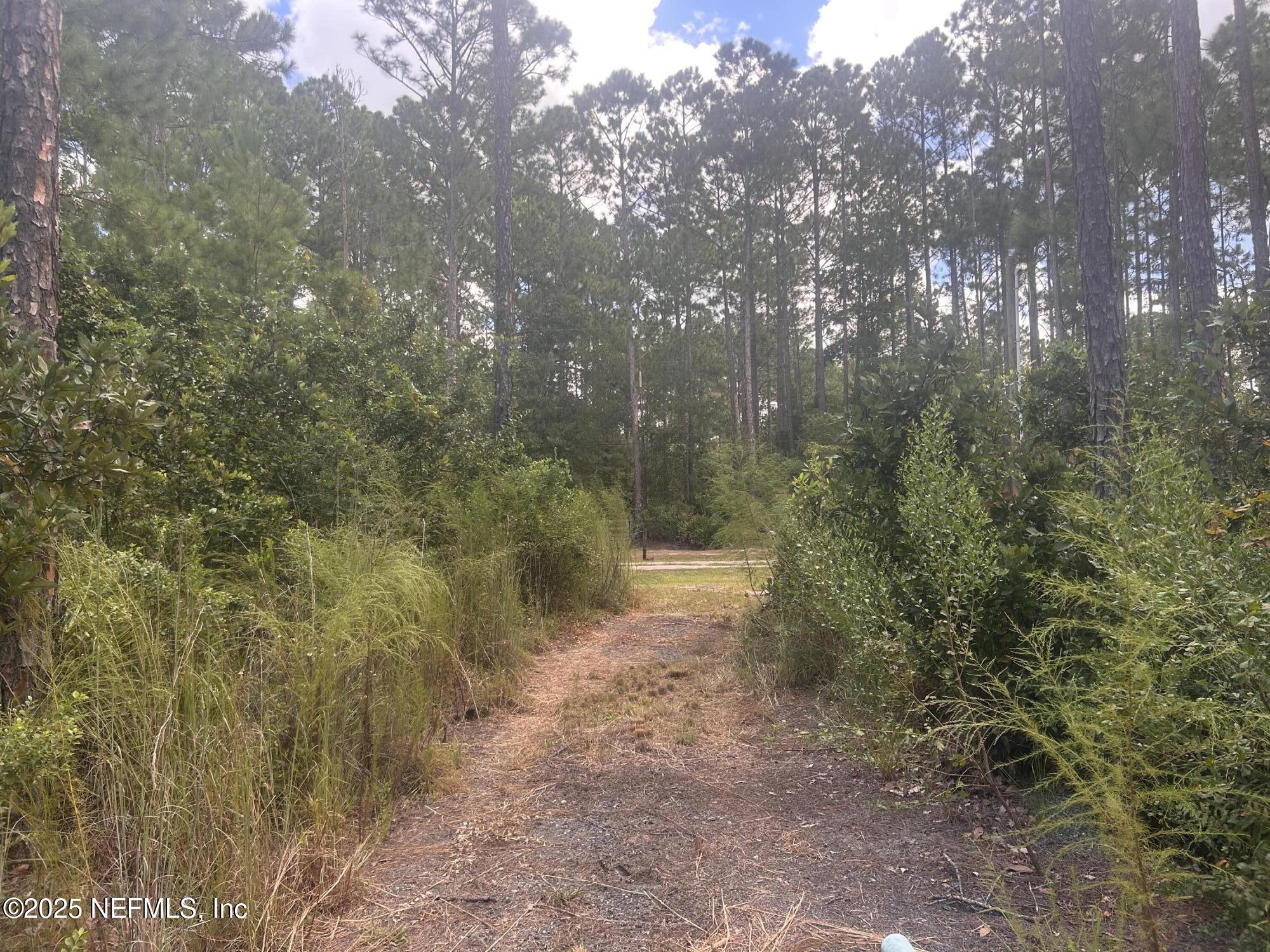 4520 Bondarenko Road Keystone Heights, FL 32656 - Photo 60 of 71 IMG_7070