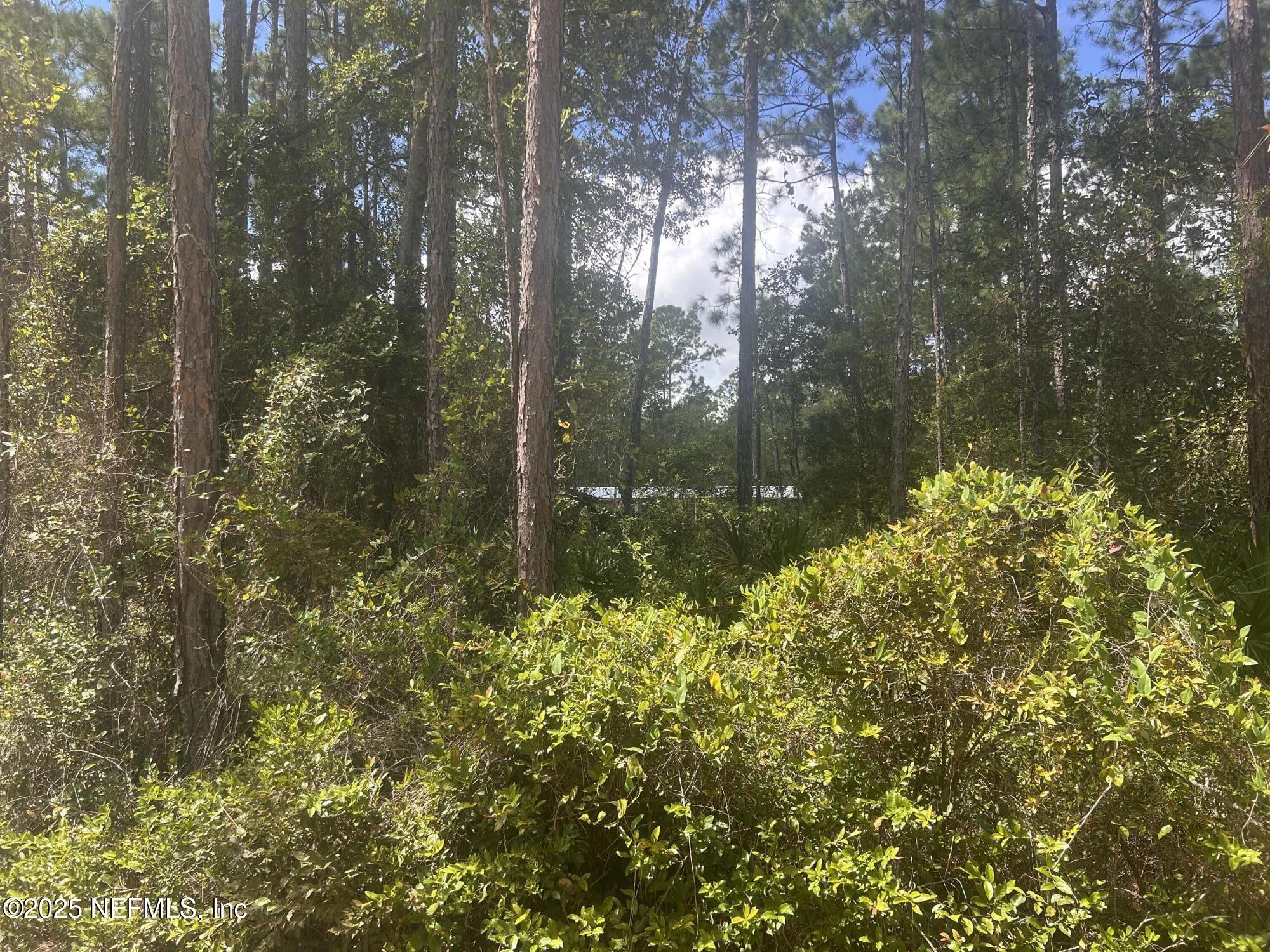 4520 Bondarenko Road Keystone Heights, FL 32656 - Photo 66 of 71 IMG_7076