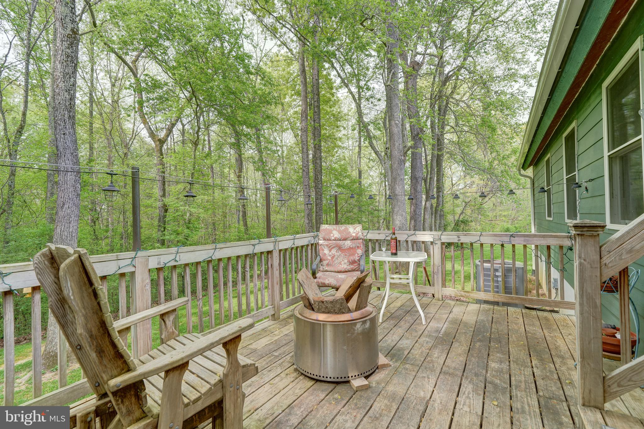 516 Apple Grove Road Mineral, VA 23117 - Photo 45 of 91