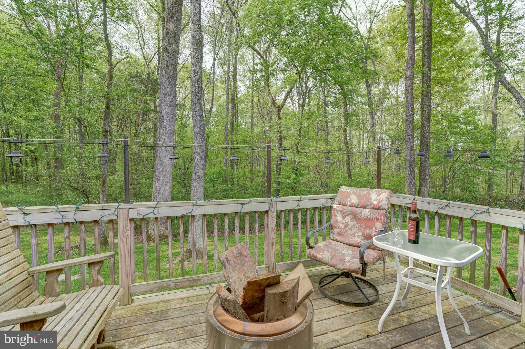 516 Apple Grove Road Mineral, VA 23117 - Photo 46 of 91