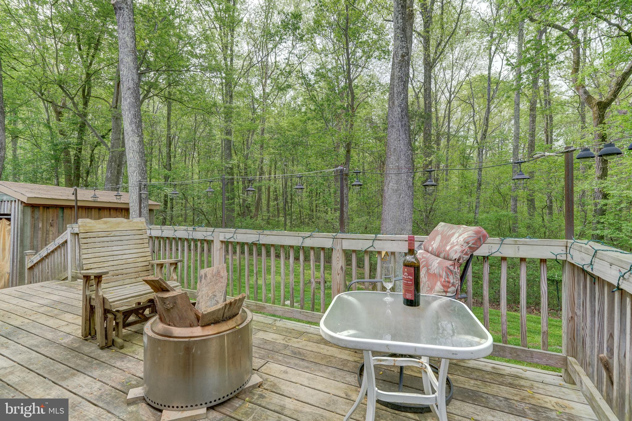 516 Apple Grove Road Mineral, VA 23117 - Photo 47 of 91