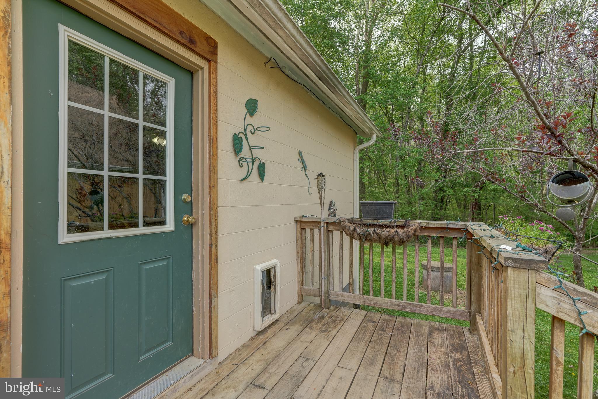 516 Apple Grove Road Mineral, VA 23117 - Photo 70 of 91