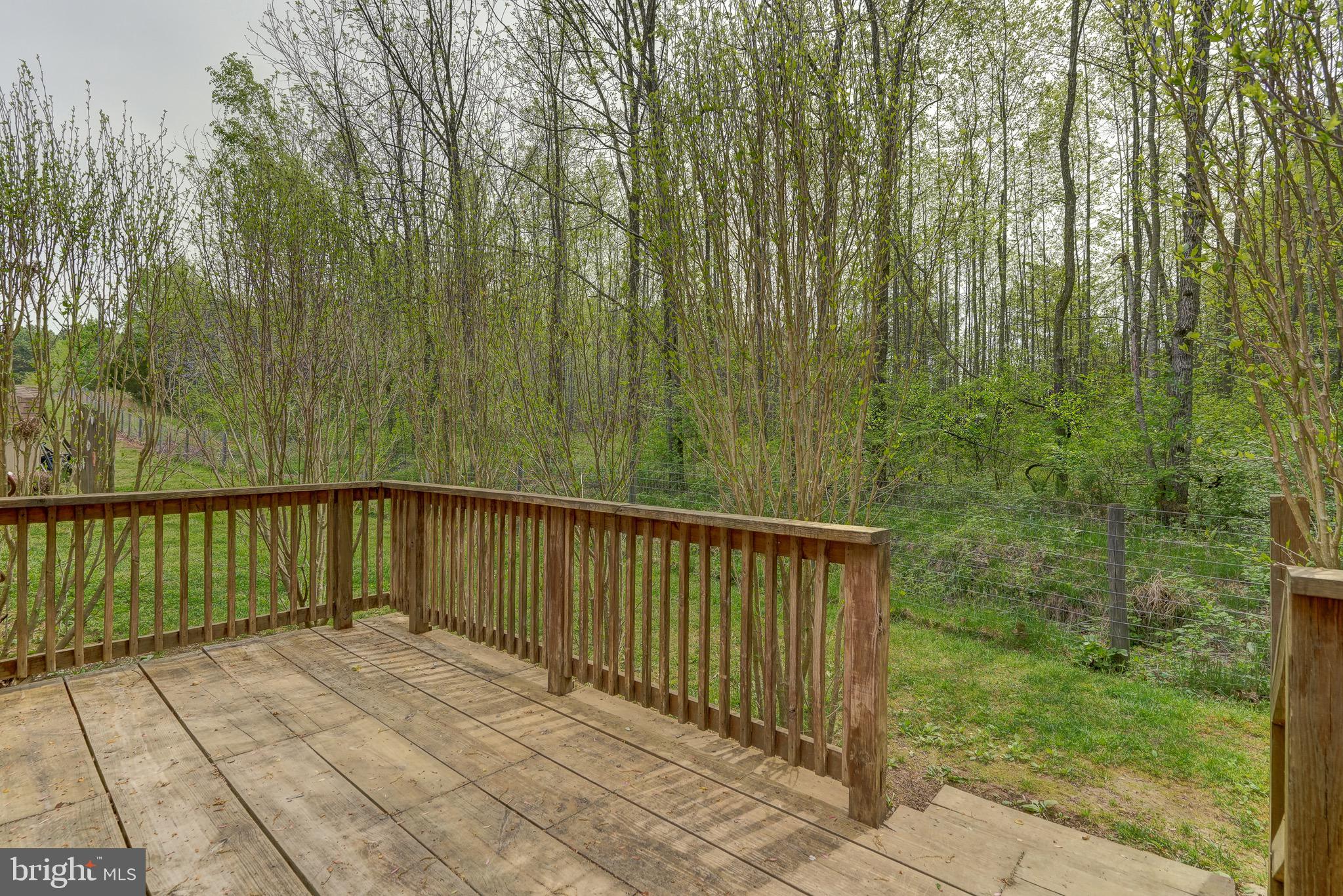 516 Apple Grove Road Mineral, VA 23117 - Photo 71 of 91