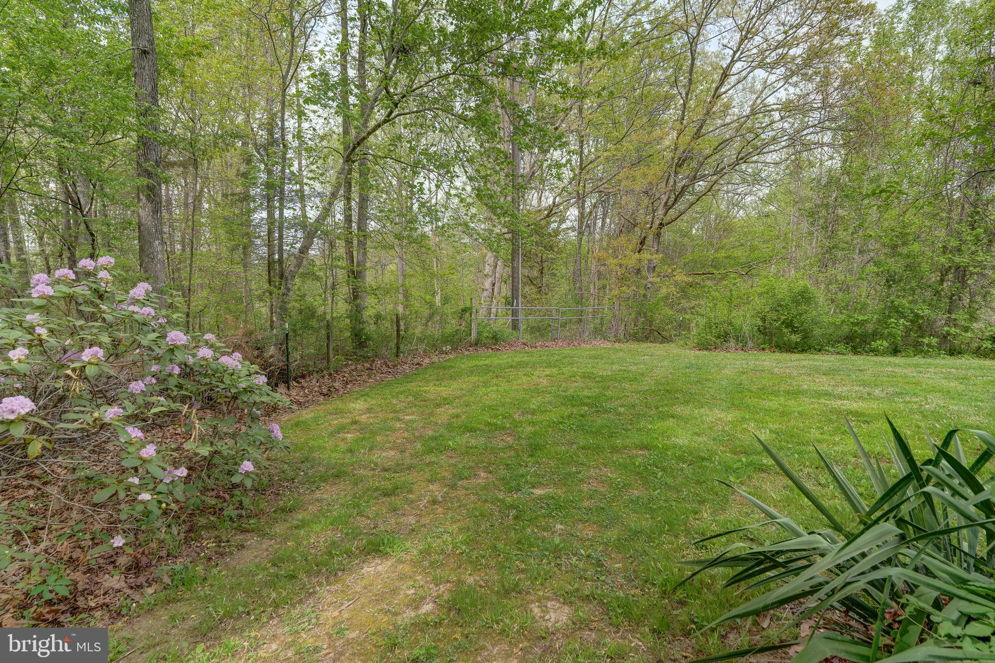 516 Apple Grove Road Mineral, VA 23117 - Photo 78 of 91