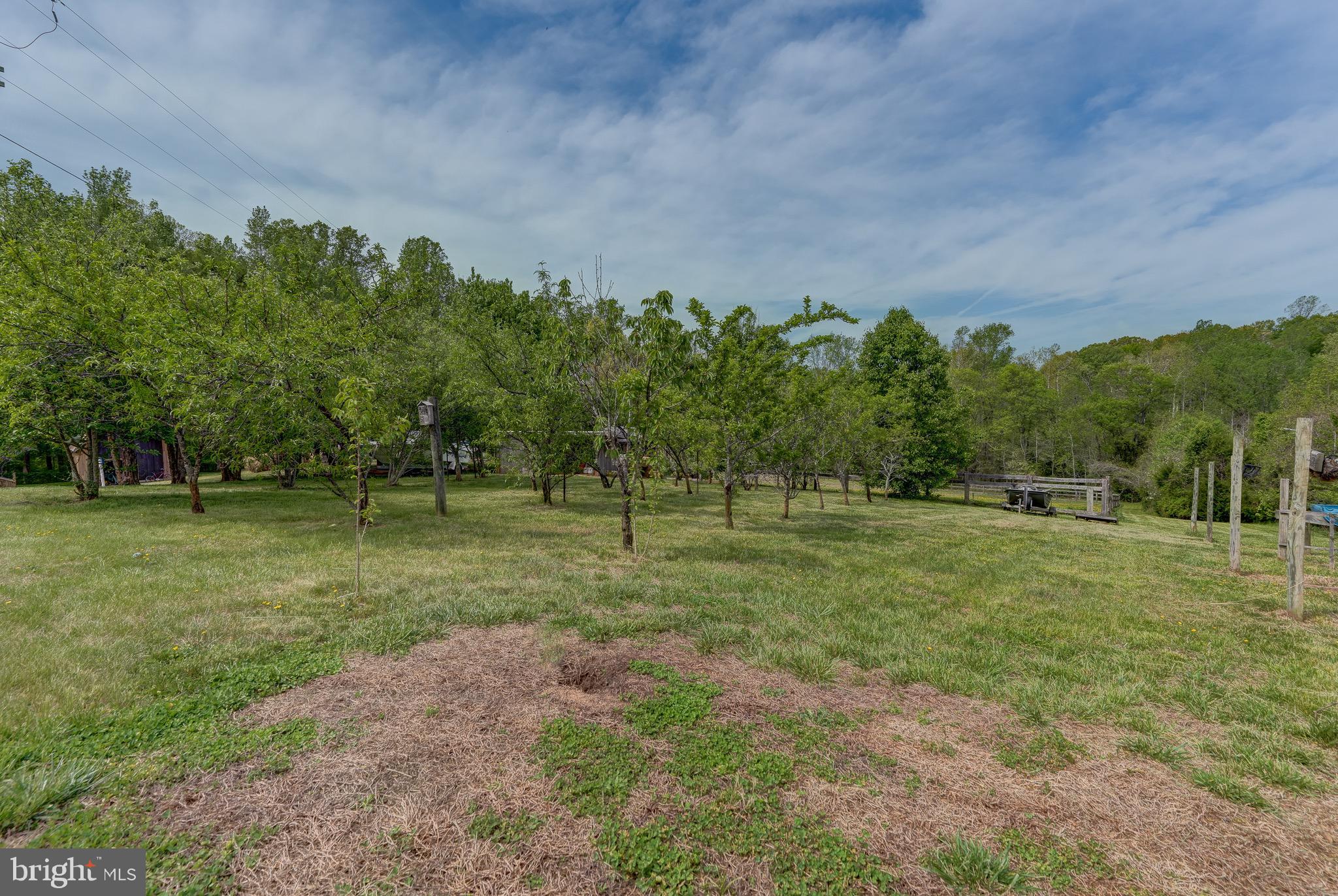 516 Apple Grove Road Mineral, VA 23117 - Photo 85 of 91