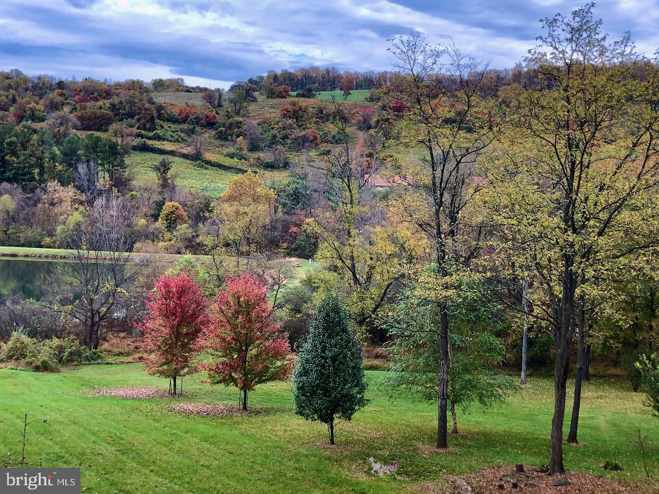 185 Creek Road Front Royal, VA 22630 - Photo 46 of 48 Stunning Fall views from the house