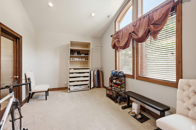 335 Bern Way Midway, UT 84049 - Photo 75 of 88 Spacious room featuring vaulted ceilings, recessed lighting, wood-trimmed arched windows, built-in shelving, and carpeting