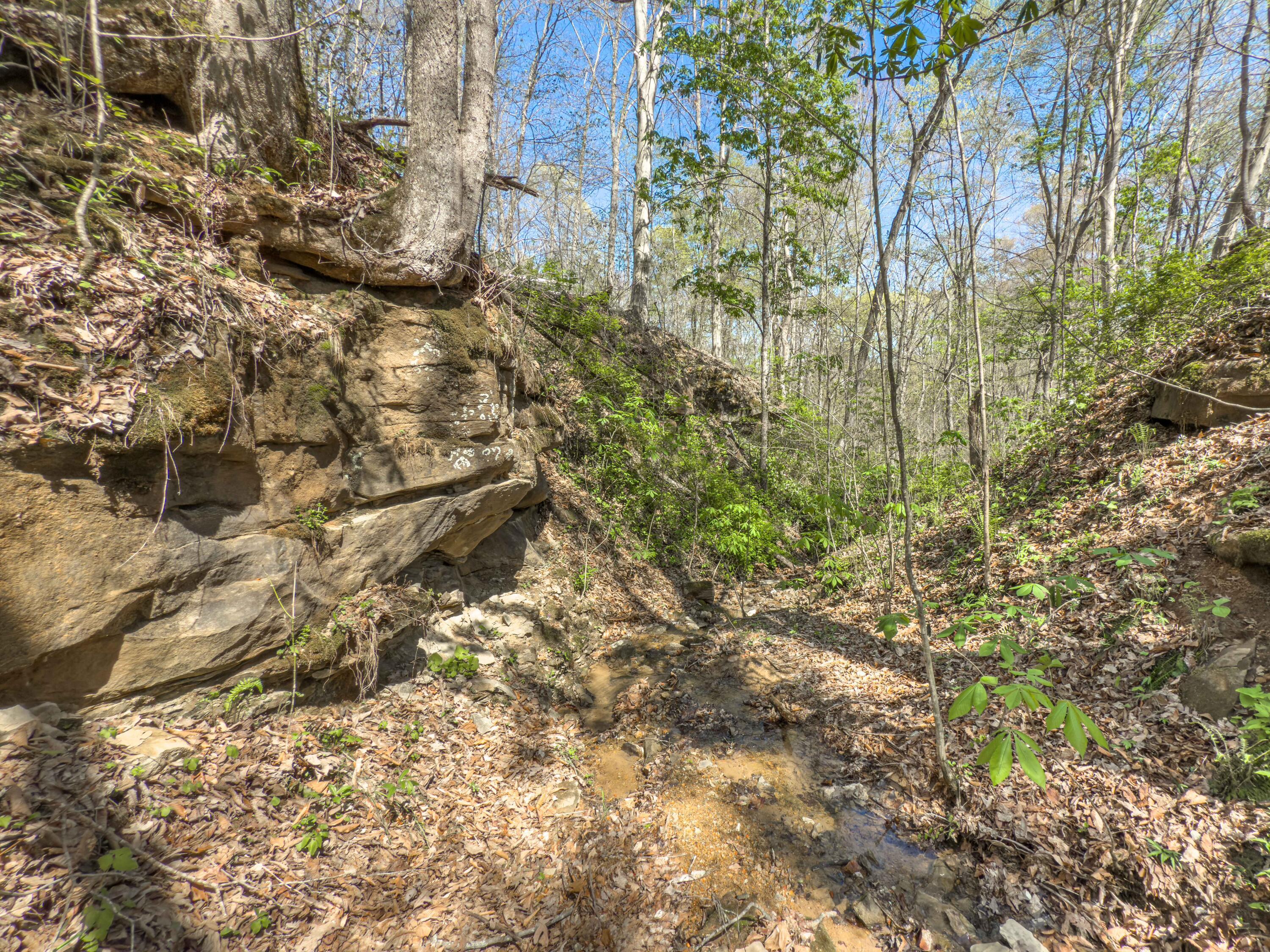 14375 Hooper Ridge Road Millfield, OH 45761 - Photo 74 of 86 Hooper Ridge Rd-73
