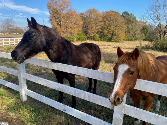 $300,000 | 0 252nd Highway, Laurens, SC 29360