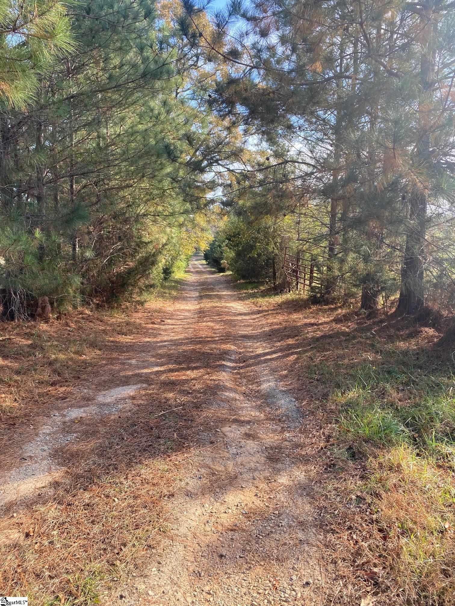 0 252nd Highway Laurens, SC 29360 - Photo 8 of 12