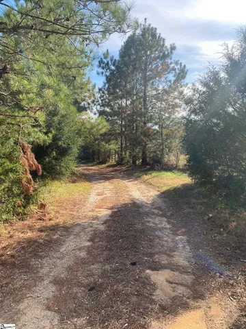 $300,000 | 0 252nd Highway, Laurens, SC 29360