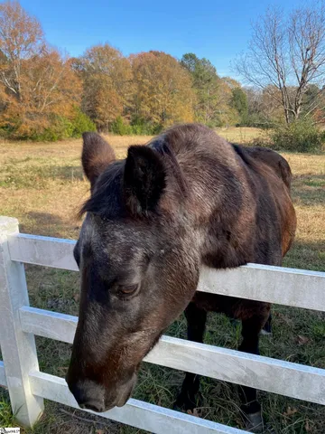 $300,000 | 0 252nd Highway, Laurens, SC 29360