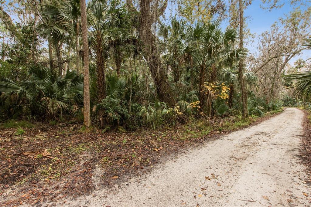 1820 Turtle Hill Road Deltona, FL 32725 - Photo 3 of 16 Gallery Image 3