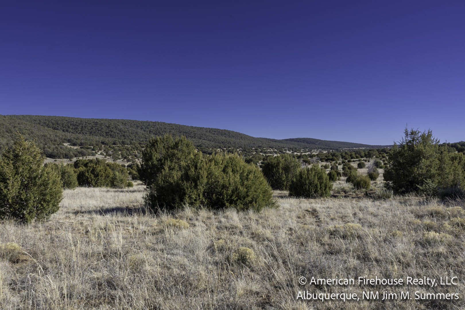 E Trail Edgewood, NM 87015 - Photo 5 of 11 Gallery Image 5