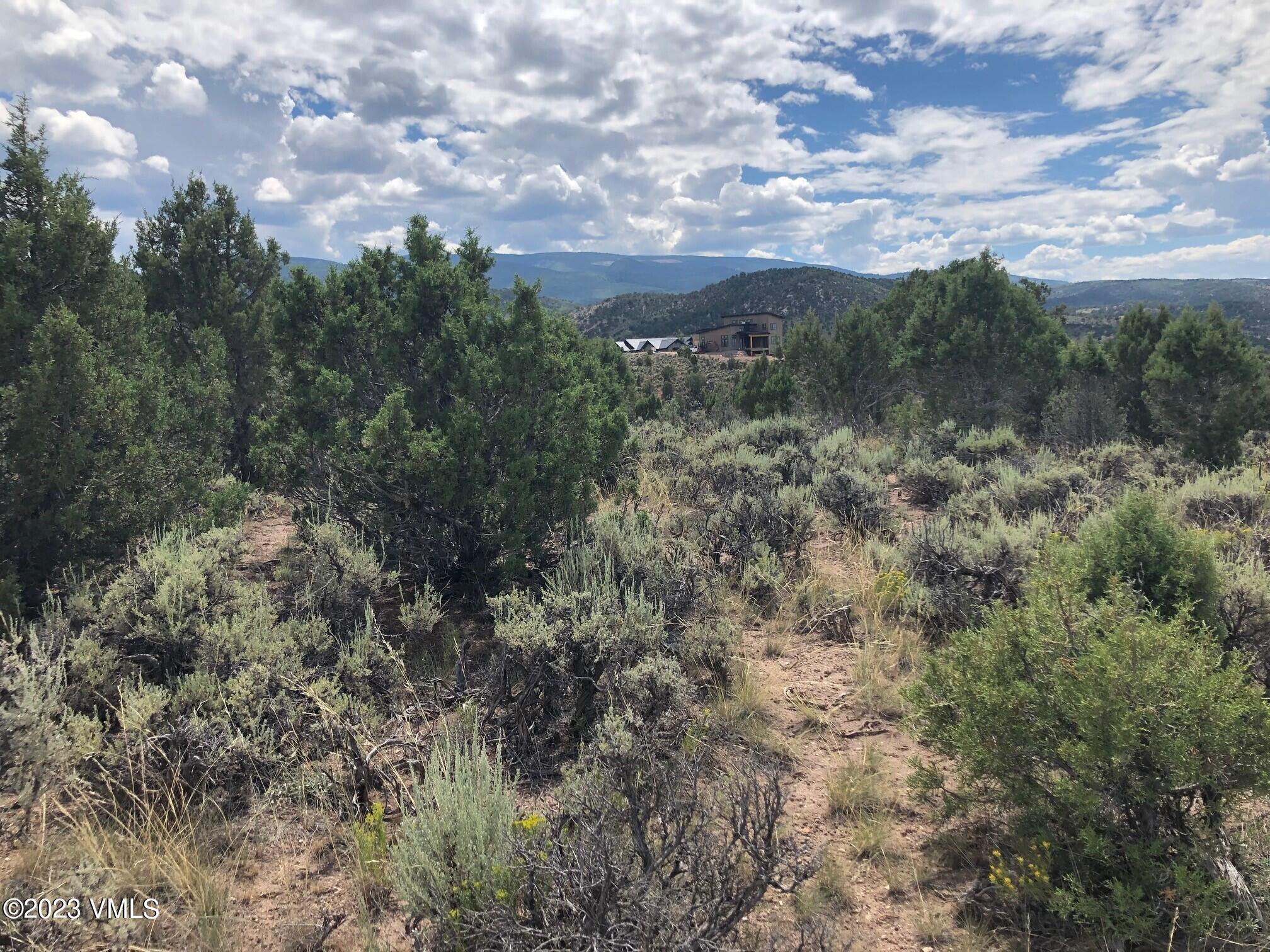 1446 East Haystacker Drive Eagle, CO 81631 - Photo 3 of 5 a view of a city with lush green forest