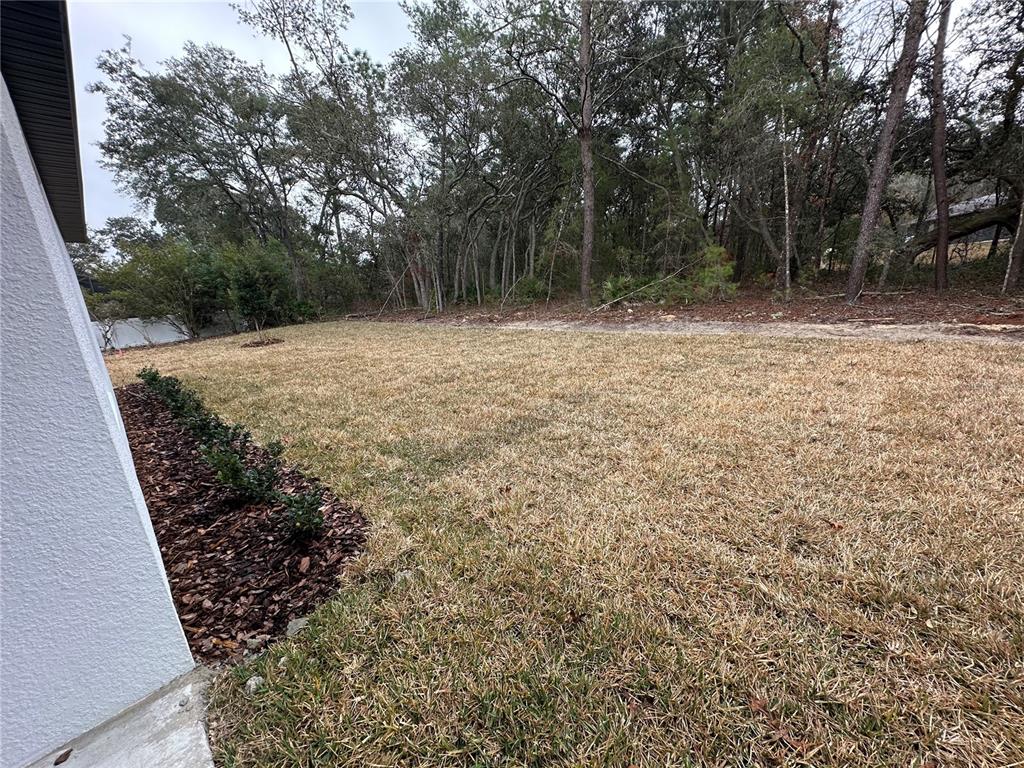 9 Mimosa Court West Homosassa, FL 34446 - Photo 26 of 28