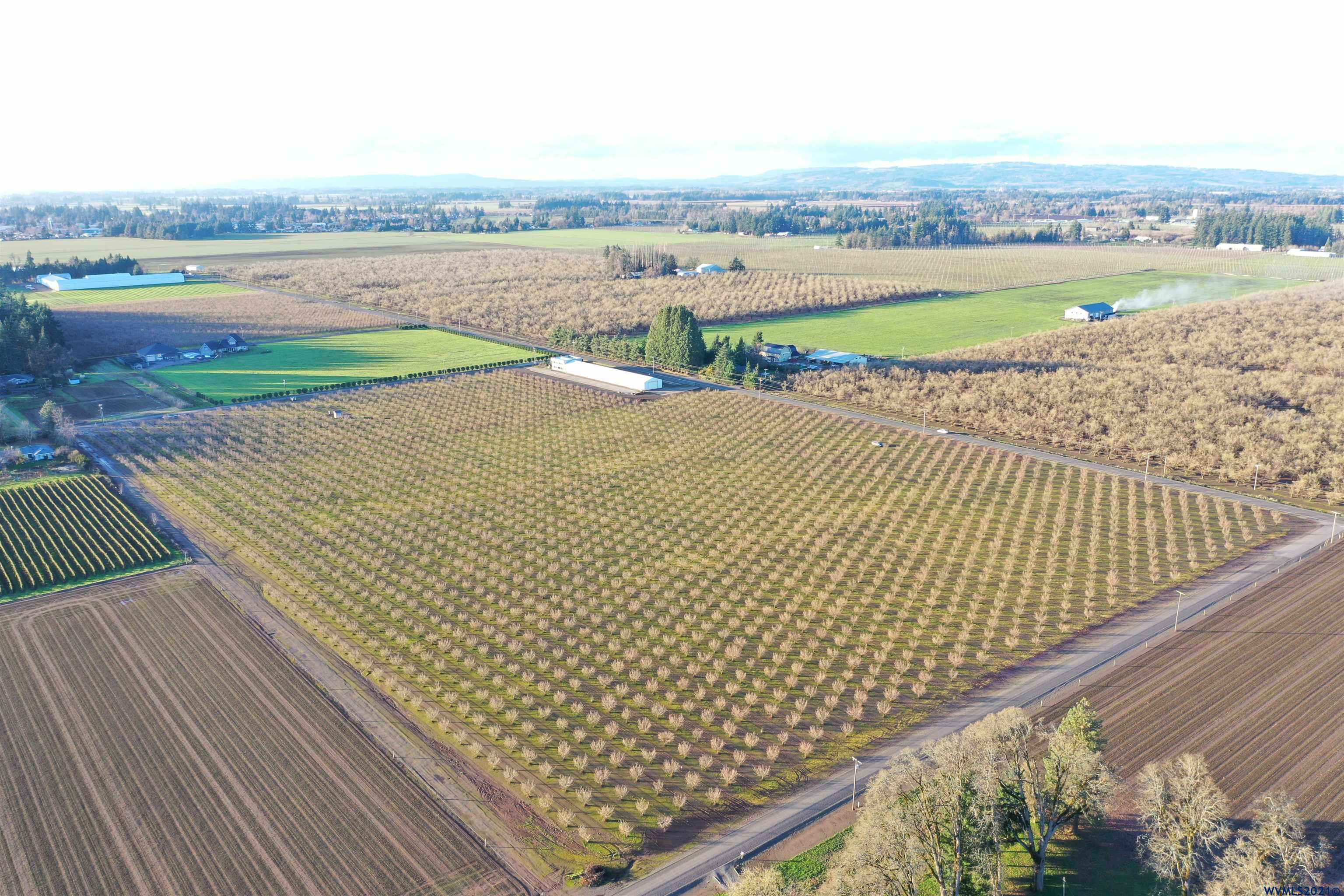 17383 Monnier Road Northeast Hubbard, OR 97032 - Photo 32 of 34