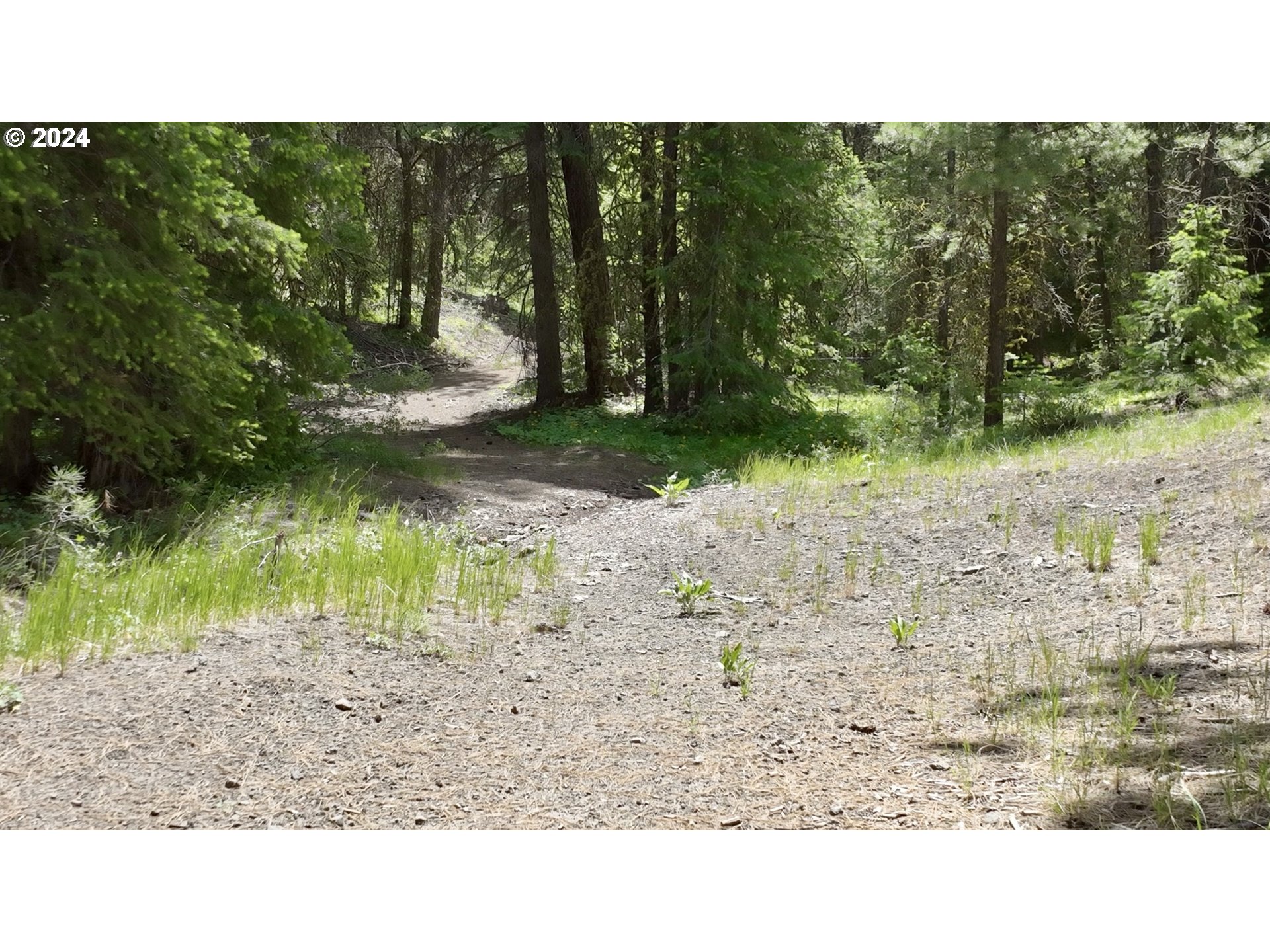0 152nd Road Drewsey, OR 97904 - Photo 8 of 43 a view of a backyard