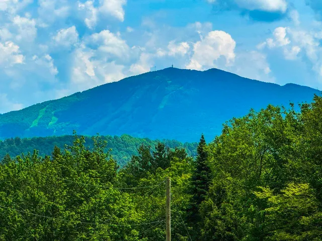 $105,000 | 0 Lynburke Road, Unit LOT 1, Lyndonville, VT 05851