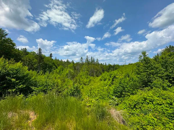$105,000 | 0 Lynburke Road, Unit LOT 1, Lyndonville, VT 05851