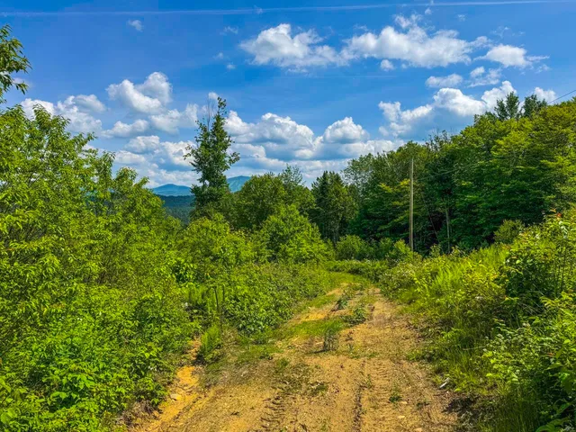 $105,000 | 0 Lynburke Road, Unit LOT 1, Lyndonville, VT 05851