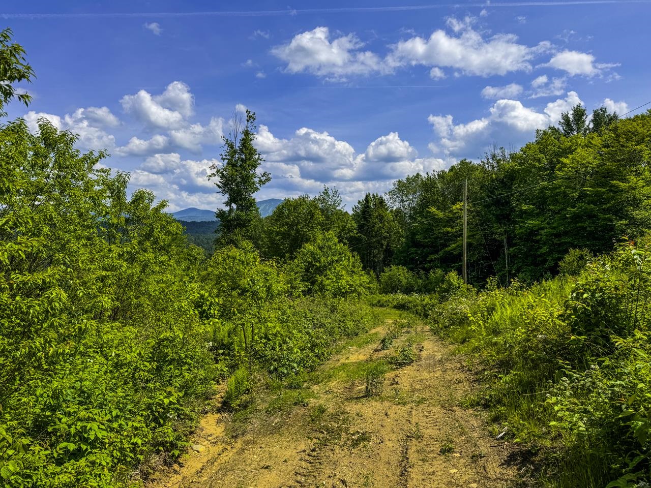 0 Lynburke Road, Unit LOT 1 Lyndonville, VT 05851 - Photo 31 of 46