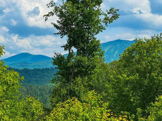 $105,000 | 0 Lynburke Road, Unit LOT 1, Lyndonville, VT 05851