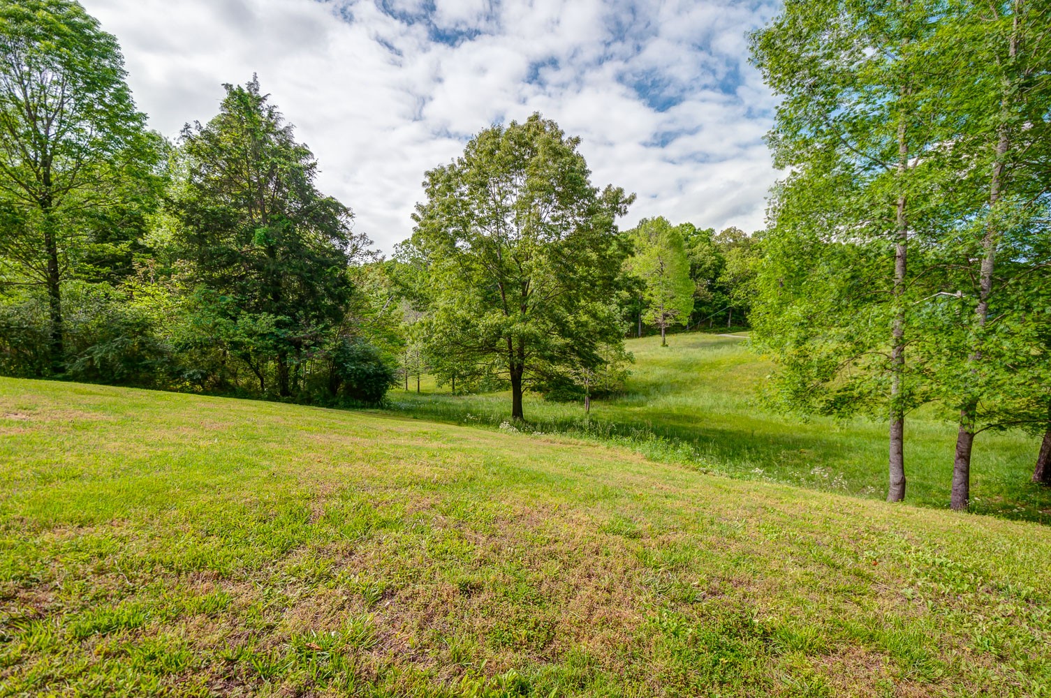 105 Fisher Road Dickson, TN 37055 - Photo 40 of 43 a view of a field with a tree
