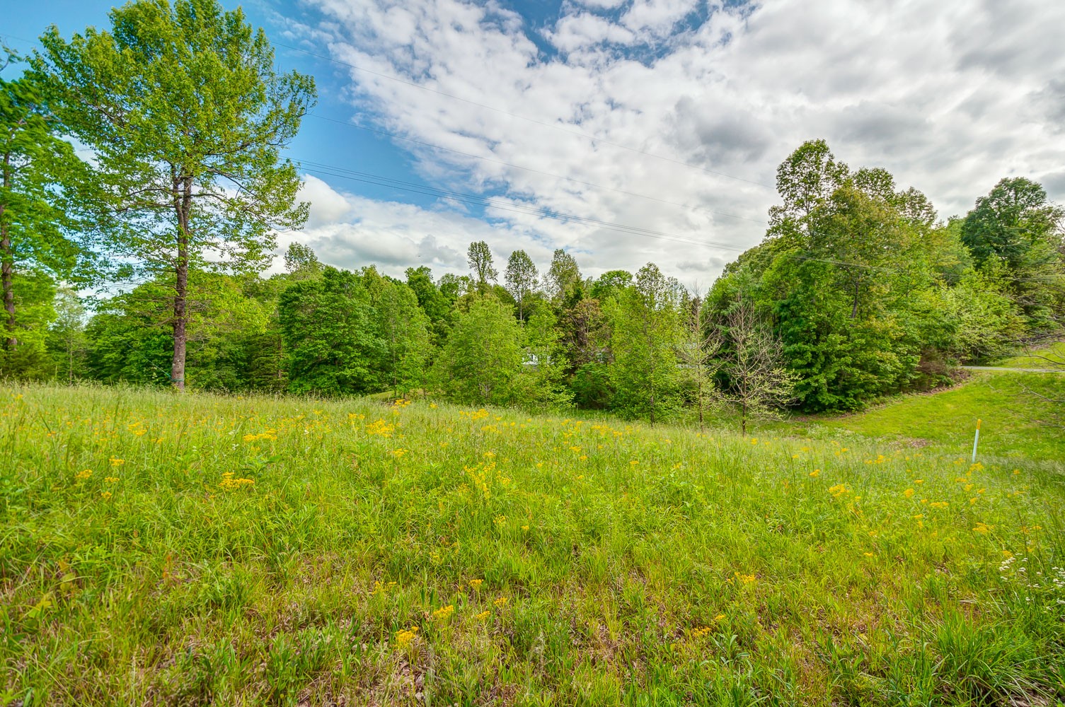 105 Fisher Road Dickson, TN 37055 - Photo 42 of 43 a yard with swimming pool and green space