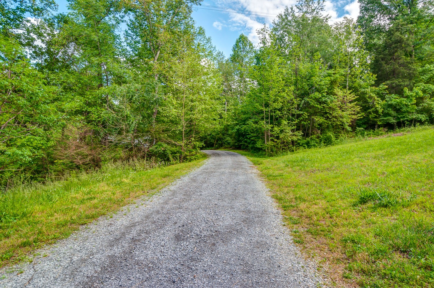 105 Fisher Road Dickson, TN 37055 - Photo 43 of 43 a view of a garden with a pathway