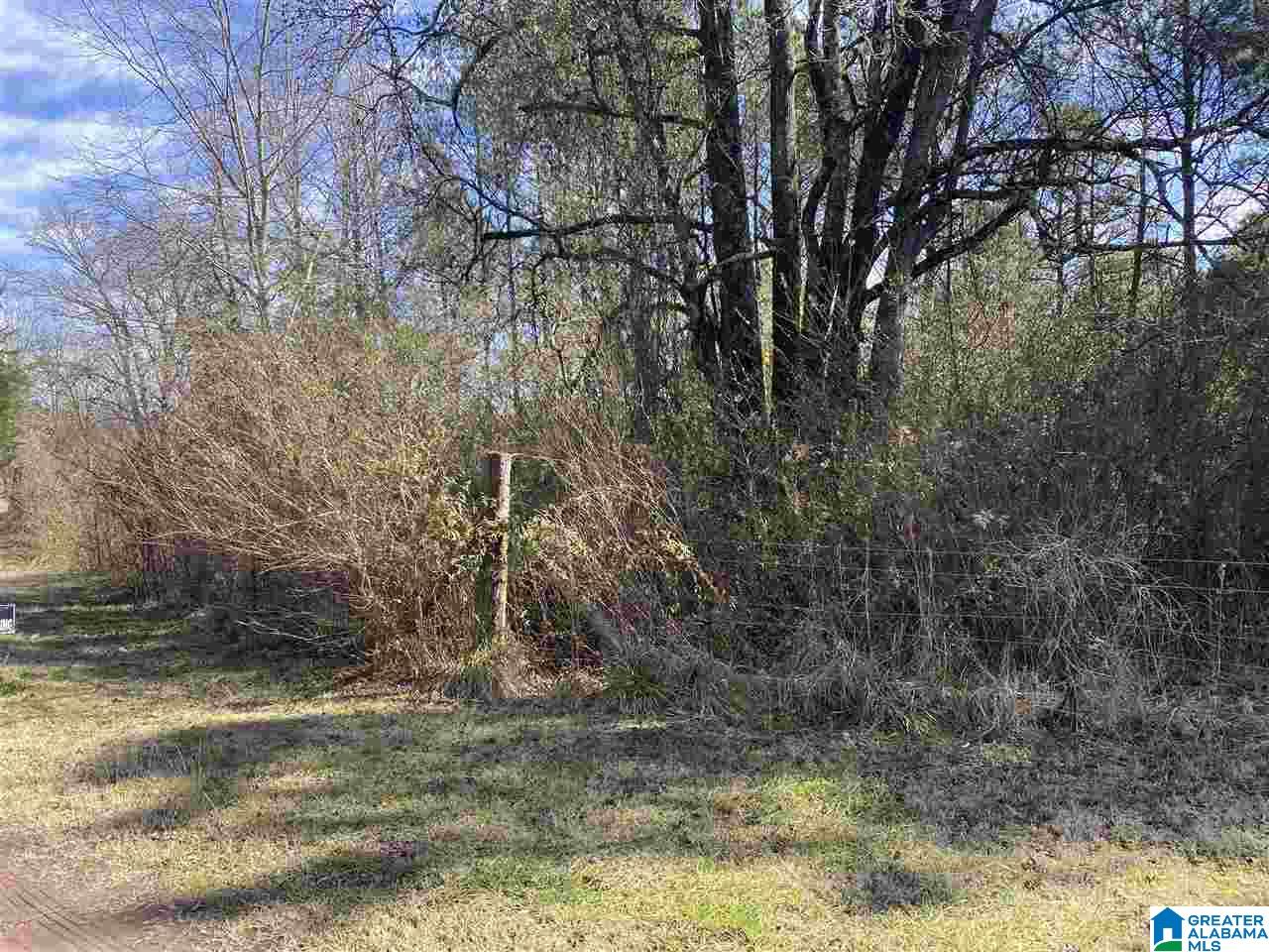 1560 Oren Miller Road, Unit 1 Warrior, AL 35180 - Photo 19 of 19