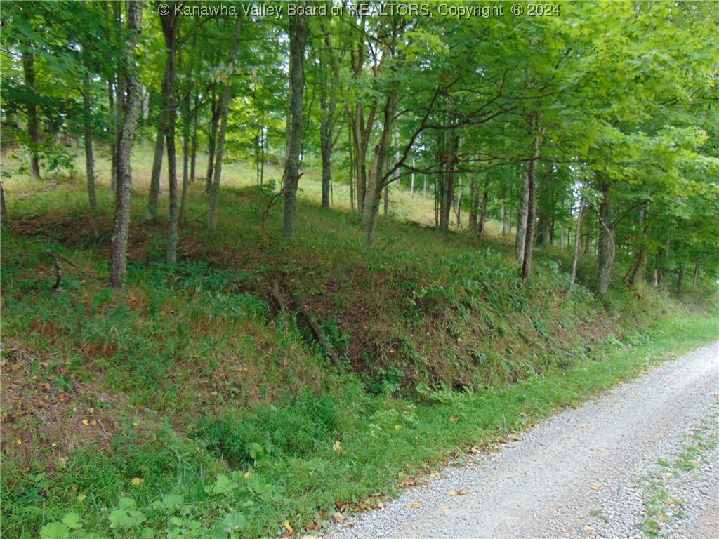 0 Logston Run Road Ravenswood, WV 26164 - Photo 1 of 8 Gallery Image 1