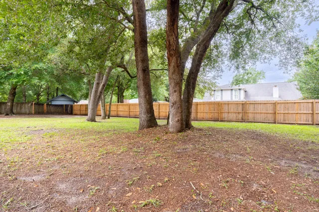 a view of a yard with tree s