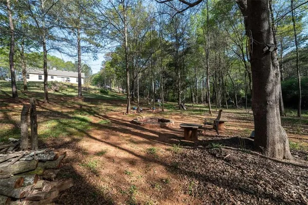 a view of a yard with trees