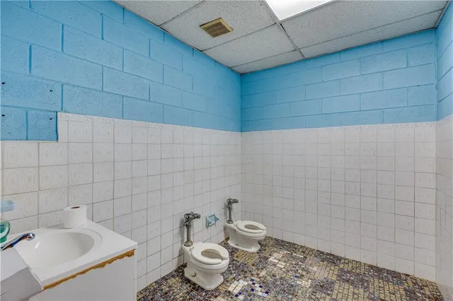 a bathroom with a sink and toilet