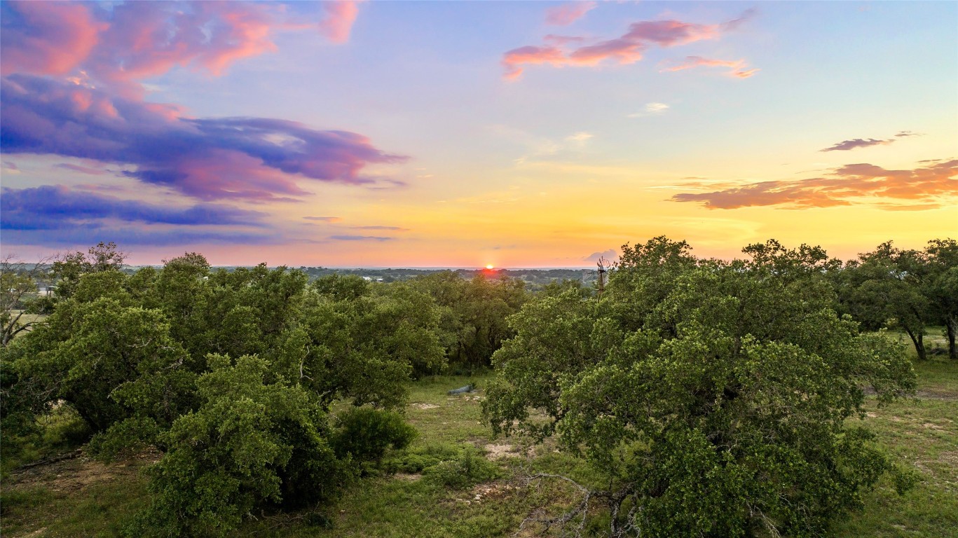 Lot 9 Stanton Road Johnson City, TX 78636 - Photo 5 of 14 a view of a city with lush green forest