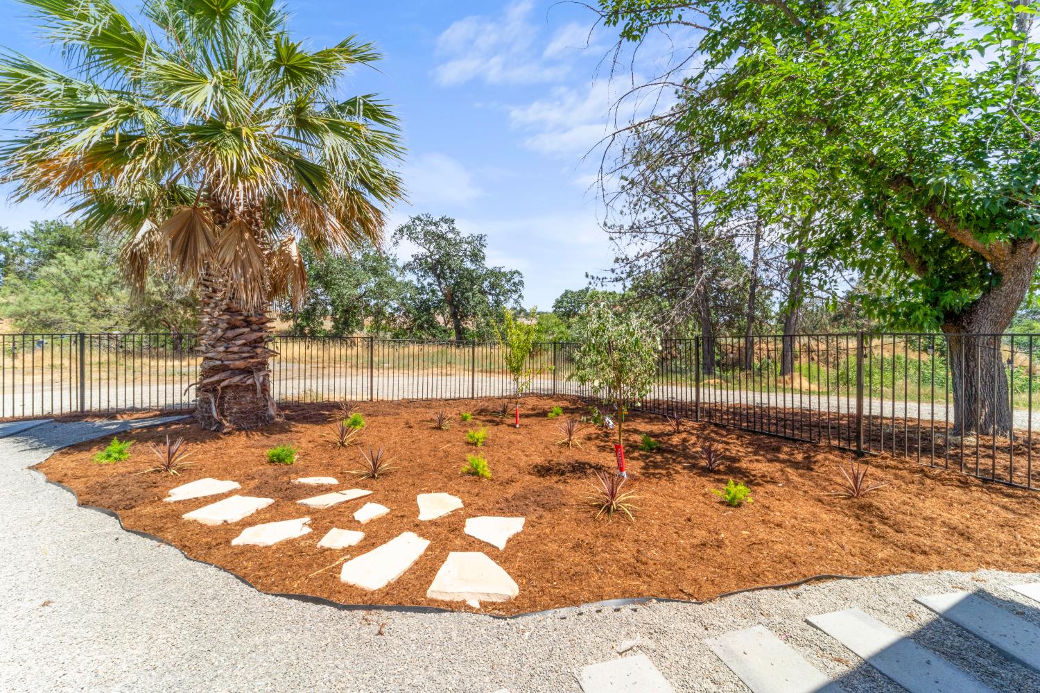 15595 Highway 16 Capay, CA 95607 - Photo 74 of 88