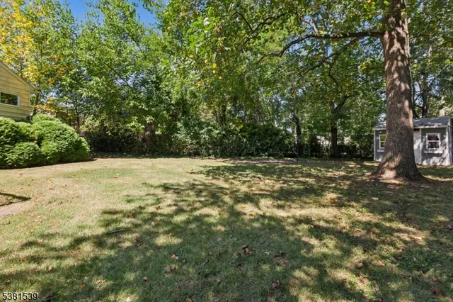 a view of a yard with a tree