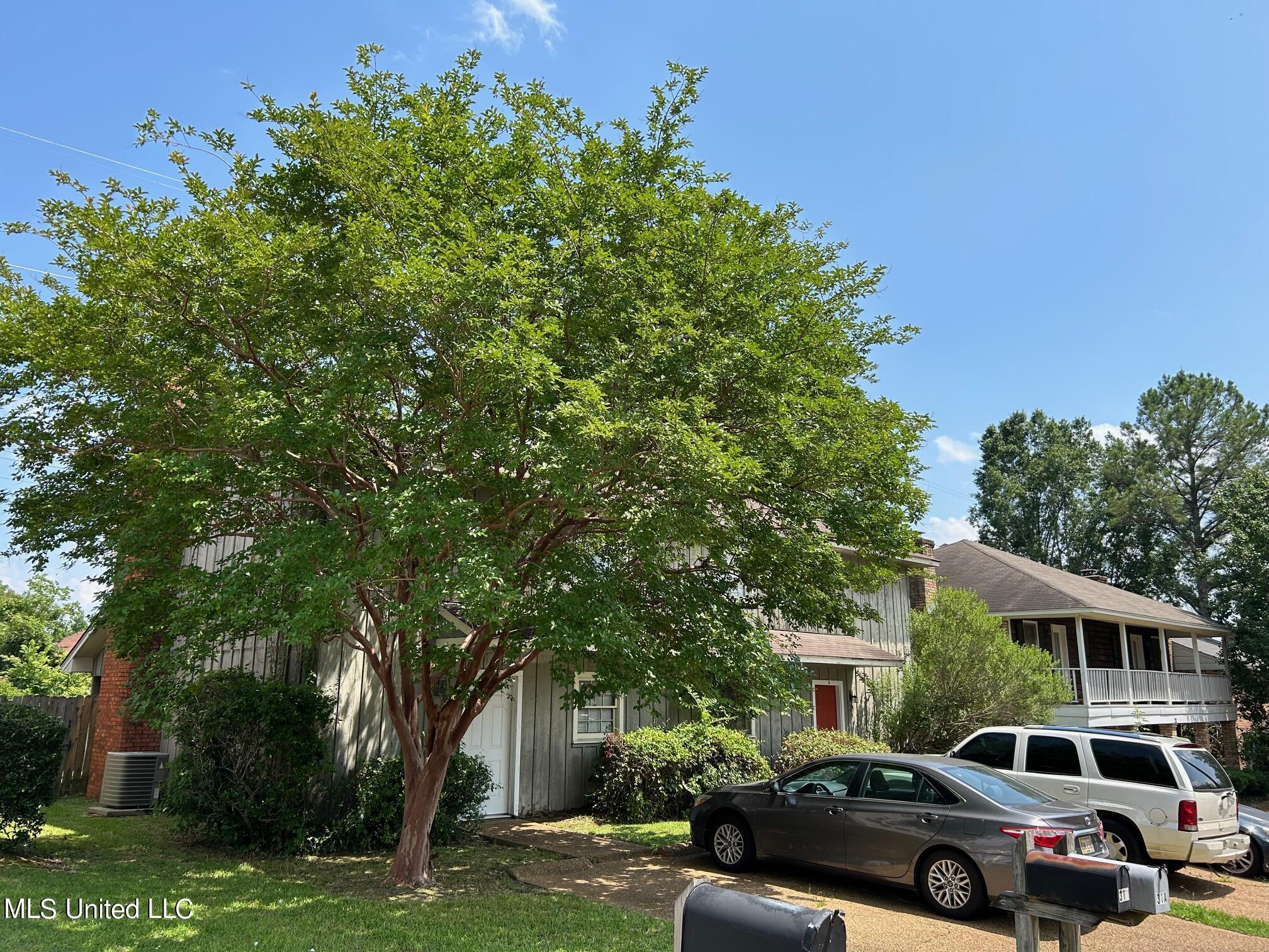 31 Northtown Road, Unit AB Jackson, MS 39211 - Photo 4 of 12 IMG_6290