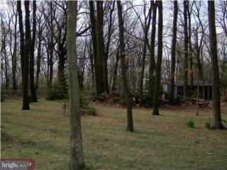 2419 North Ridge Road Perkasie, PA 18944 - Photo 5 of 5
