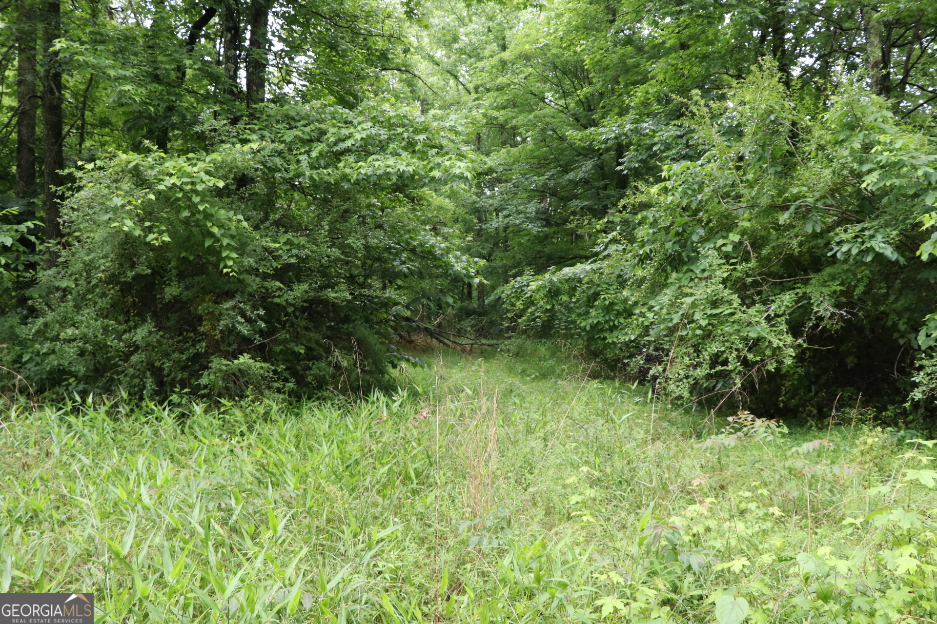 833 Neal Gap Road Summerville, GA 30747 - Photo 19 of 86
