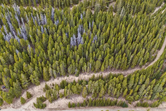 a view of a yard with plants and trees
