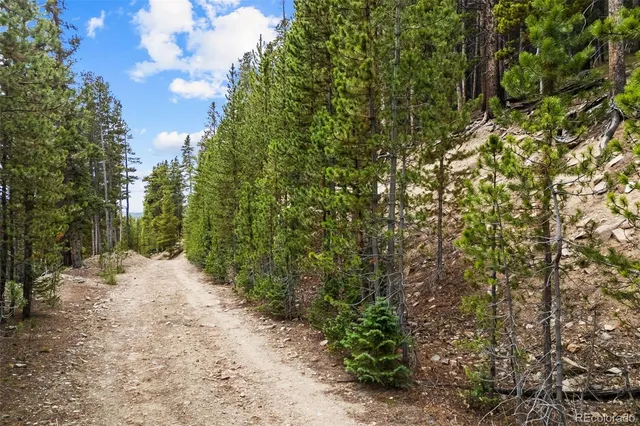 a view of a house with a tree