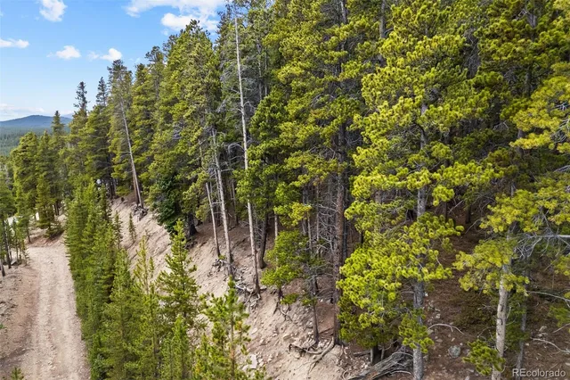 $33,000 | 773 Harris Drive, Idaho Springs, CO 80452