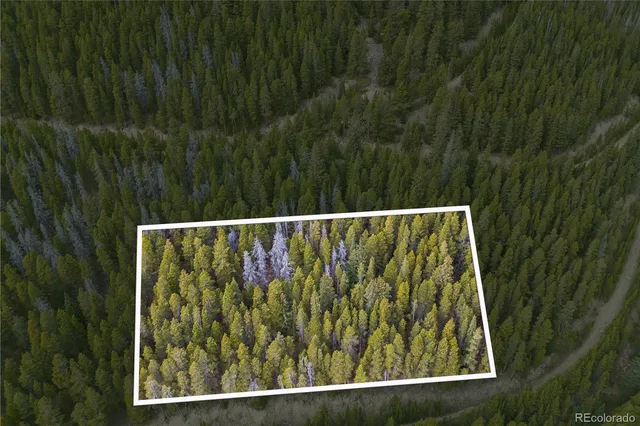 a view of a yard with a trees