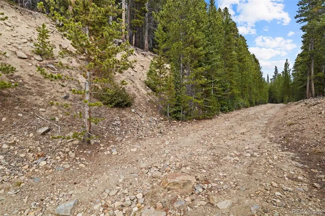 a view of a yard with plants and trees