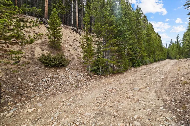 a view of a yard with plants and trees